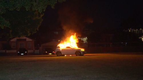 Flames lit up the inner-west Sydney park. (9NEWS)