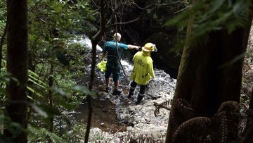 The man slipped while walking along a popular track in the Springbrook National Park in the Gold Coast hinterland.