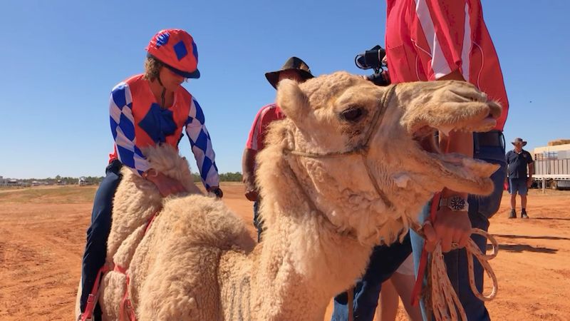 Boulia Camel Races | Nine.com.au