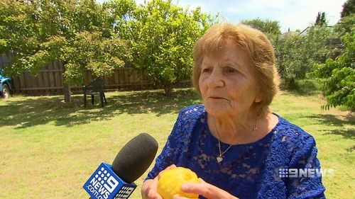 Melbourne grandmother Anna loves the lemon tree in her backyard, using the fruit to make juice and limoncello.