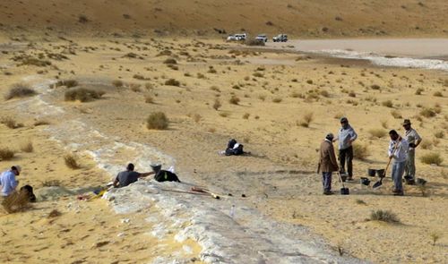 Surveying the site in the Nefud Desert, Saudi Arabia. (AAP).