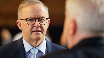 Anthony Albanese has announced changes so older Australians can work longer hours without it affecting their pension.