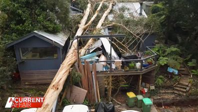 Storm victims remain in limbo amid building delays and red tape.