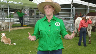 Bianca Tarrant farmer Sydney CBD supermarket price gouging