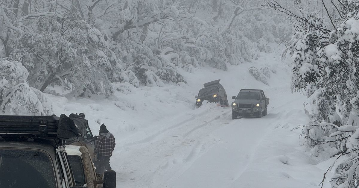 Rescues after more than 20 trapped in deep snow on Mount Hotham