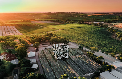 D'arenberg Cube Adelaide Hills