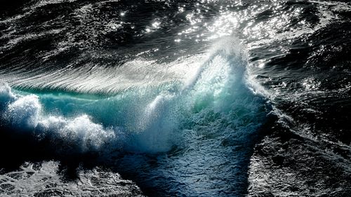 Les scientifiques appellent une « urgence Code Blue » pour les océans australiens