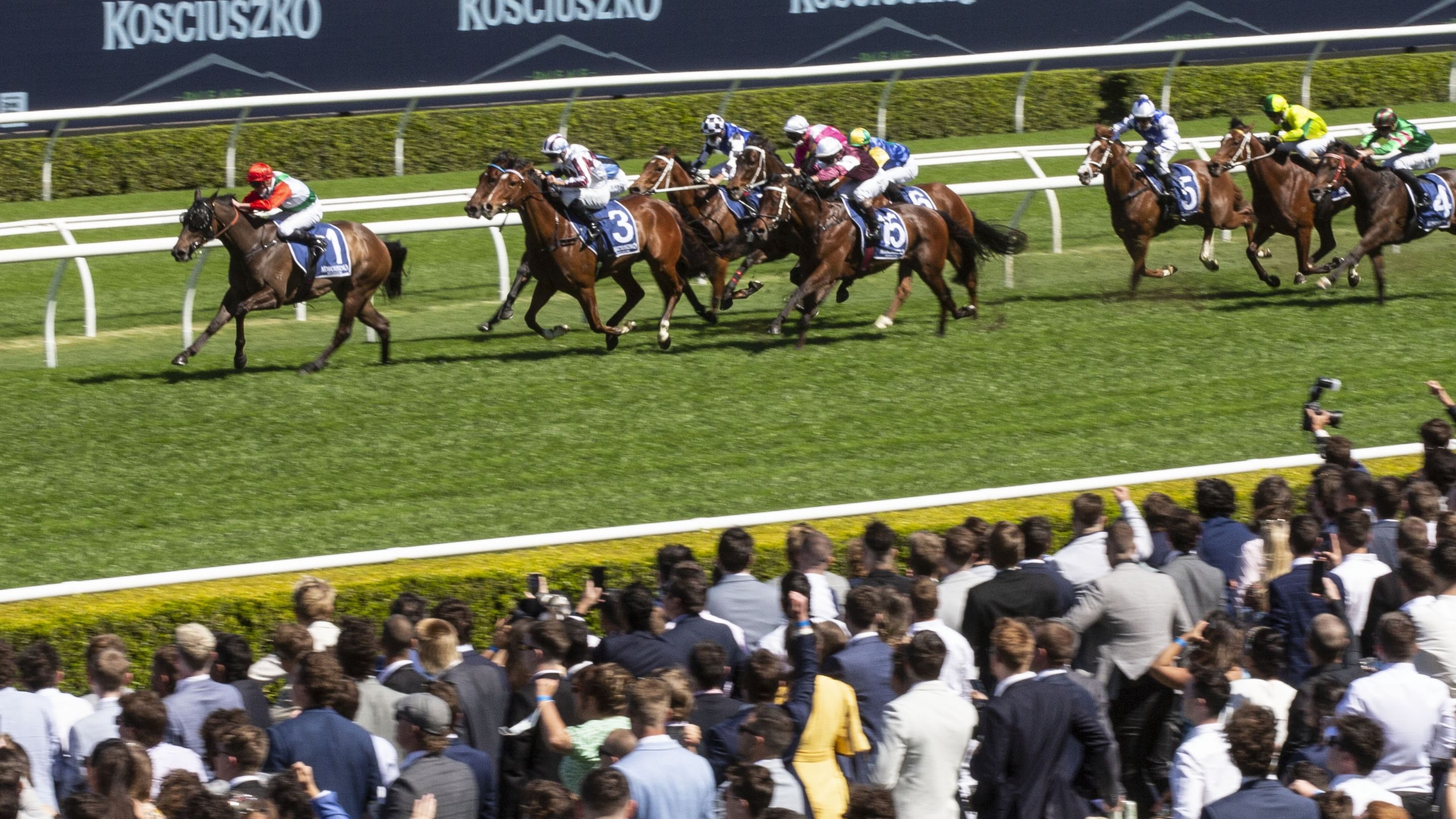 The crowd at Royal Randwick to watch Art Cadeau win the Kosciuszko in October.