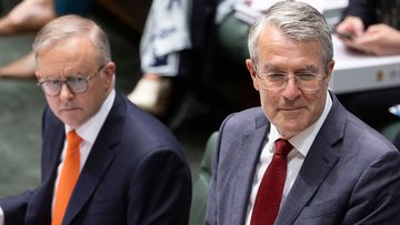 Prime Minister Anthony Albanese and Attorney-General Mark Dreyfus.