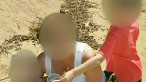 A grandmother has appeared in court charged with the attempted of murder of two children in this Morayfield, Queensland family. (Supplied)