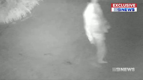 Fresh CCTV imagery has been gathered by the NSW Homicide squad.