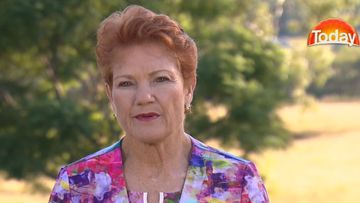 Pauline Hanson wants a citizenship plebiscite. (TODAY)