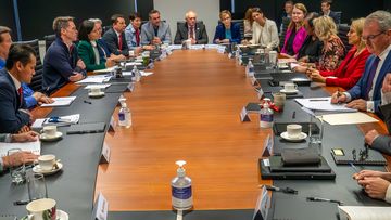 A special meeting of NSW cabinet in response to the domestic violence crisis, May 3, 2024.