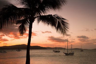 A silhuetted view from Airlie Beach in Queensland Australia. Palm Tree shadowed with soft sunset and sailing boats in the background