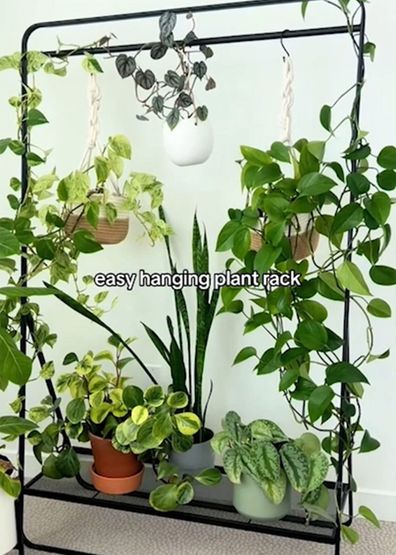 Mariah uses a clothes rack to hang her hanging indoor plants.