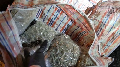 Police uncovered 93kg of cannabis at a border stop.