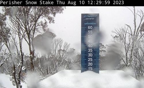 Heavy snow has fallen in the NSW and Victorian alpine regions after an "almost totally snowless" last four weeks.