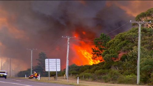 Large bushfire burning at Williamtown, near Newcastle Airport