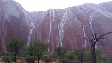 After a dry 2015, Australia’s
iconic rock formation Uluru has been dramatically altered by a recent deluge.<br /><br />Photos shared to the Parks Australia Facebook account yesterday show the Northern Territory
landmark covered with rivulets, its normally red surface rendered mahogany by
rain.<br /><br />Uluru received approximately
7.5mm of rainfall at the time the pictures were taken, around January 12.(Facebook/Parks Australia/Uluṟu-Kata Tjuṯa
National Park)<br /><strong><br />Click through to see more photos of this desert
splendour.</strong>