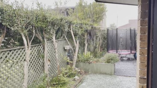 Curl Curl on Sydney's northern beaches was pelted with hail today.