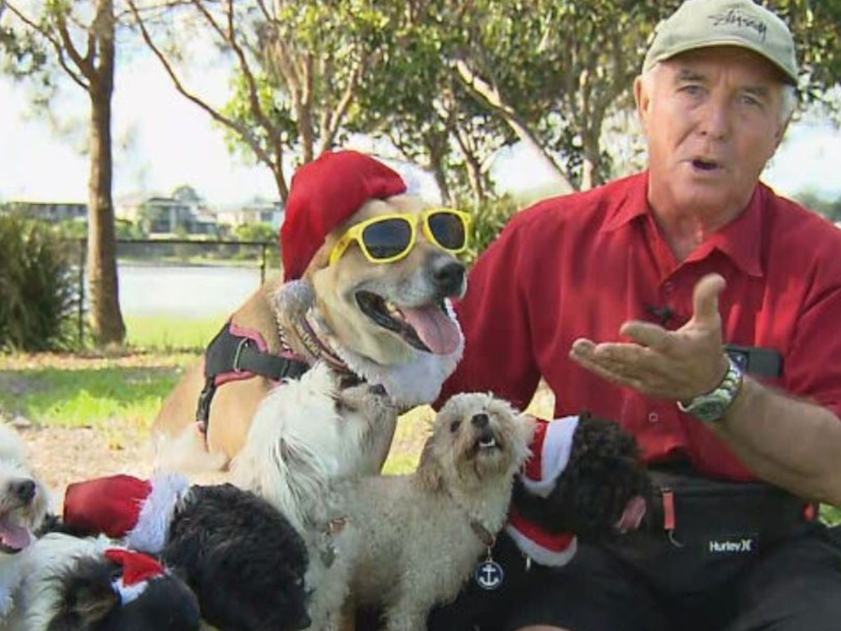 Skateboarding puppy train melts hearts around Gold Coast