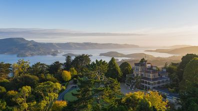 Larnach castle is surrounded by beautiful gardens, with immaculate views.