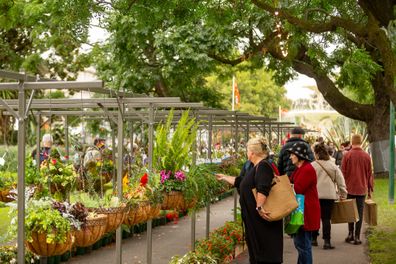 Hanging basket competition at the Melbourne International Flower and Garden Show