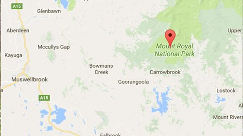 Michelle Pittman and her son Dylan went missing in the Mount Royal National Park in NSW (Google Maps).