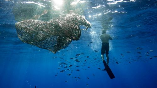 A man swims near a ghost net in the Great Pacific Garbage Patch.