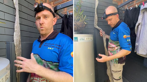 Buderim giant snake skin found hanging from roof - Sunshine Coast Snakecatchers 24/7 called in to help.