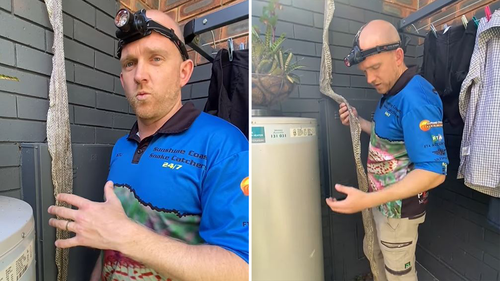 Peau de serpent géant Buderim trouvée suspendue au toit - Sunshine Coast Snakecatchers a appelé 24/7 pour aider.