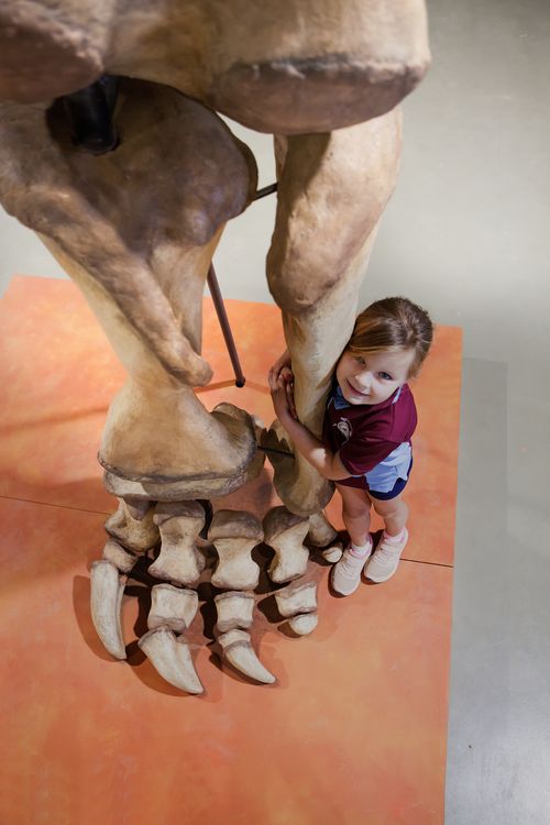 Child from Eromanga State School sizing up against a replica of Cooper's rear leg at the Eromanga Natural History Museum