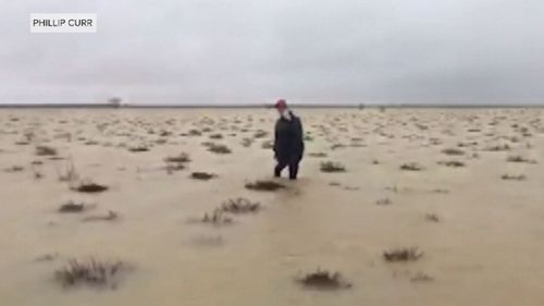 The water still chest deep in parts - but the farmers are desperate to save what's left of their livestock.