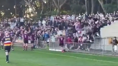 Dozens of people have fallen from the stands at a Sydney sporting oval.