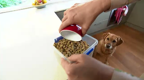 At least 17 dogs have died and 70 have been affected by the medical condition caused by the pet food.