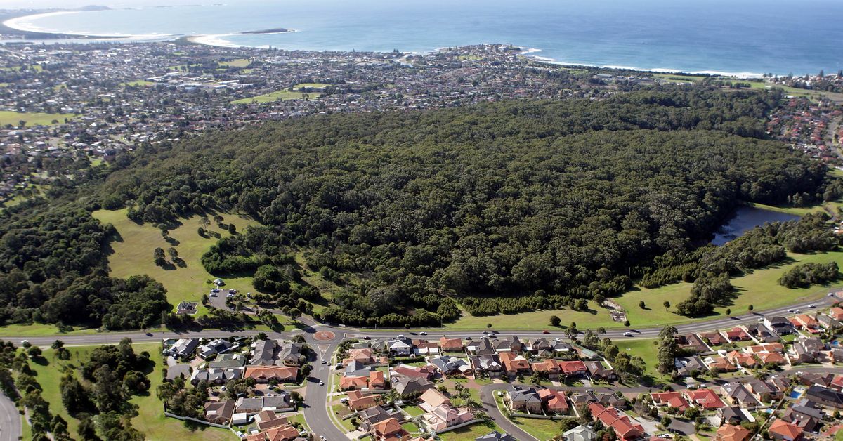 Men accused of flying drone over Wollongong to traffic drugs