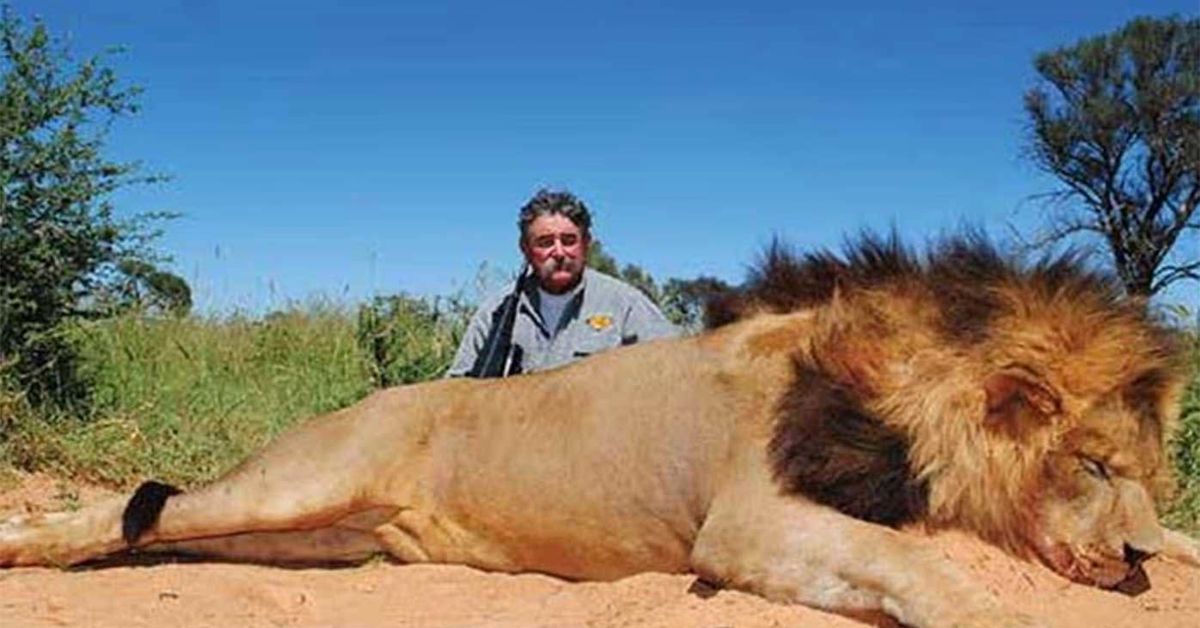 US millionaire trophy hunter killed by herd of elephants