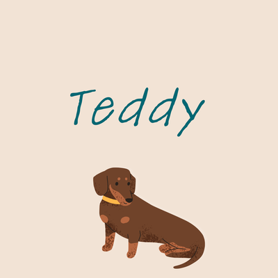 3. Teddy