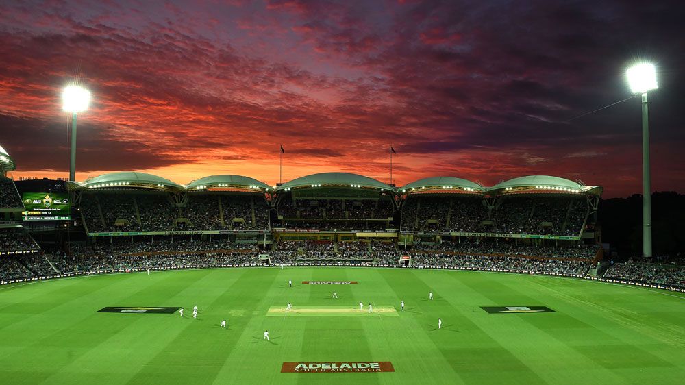 Adelaide Oval on the first day of Test cricket's first day-night match. (AAP)
