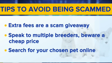 Tips to avoid being scammed. 