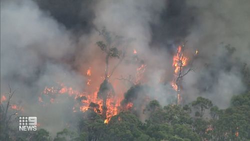 Firefighters battled intense heat as the temperature soared past 40 degrees.