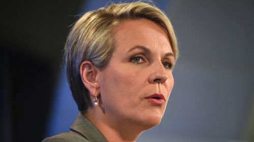 Deputy Labor Leader Tanya Plibersek appointed education minister in shadow ministry shakeup