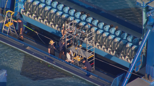 Multiple people trapped on Sea World ride on Gold Coast