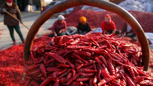 Study reveals spicy food may lead to a longer life