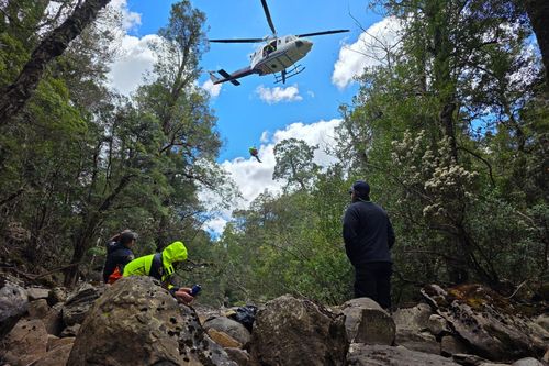 Un uomo è stato trovato vivo dopo essere sopravvissuto per quasi quattro giorni senza cibo, acqua o provviste nella selvaggia boscaglia della Tasmania. 