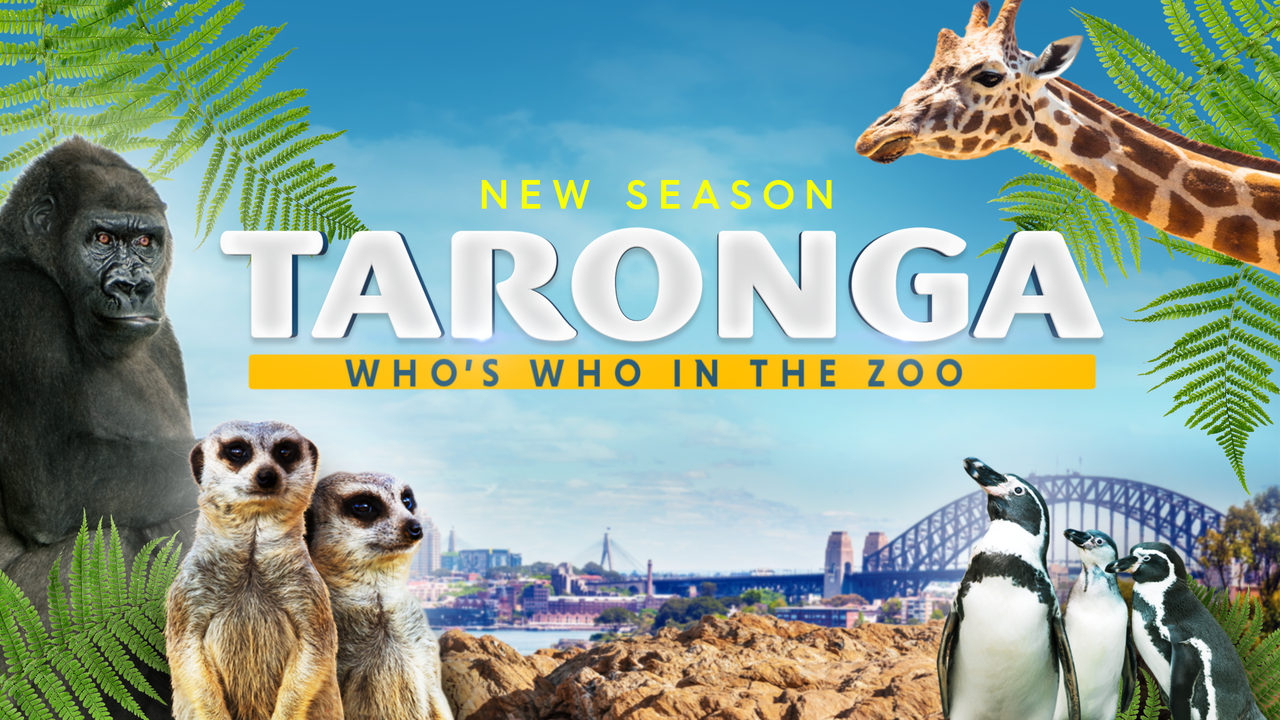 Watch Taronga: Who's Who In The Zoo Season 5, Catch Up TV