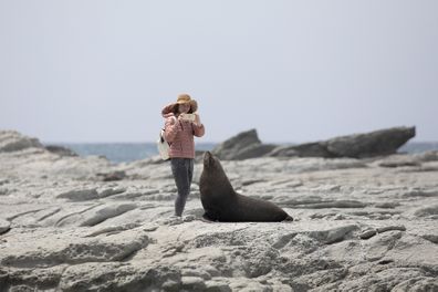 Tourist takes photo of seal in New Zealand