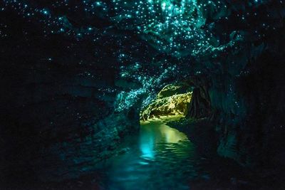 <strong>The Waitomo Glowworm Caves</strong>