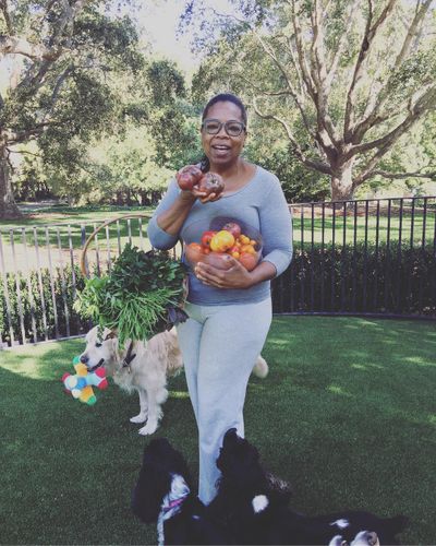 <strong>Oprah loves a fresh tomato</strong>