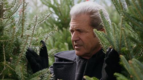 Mel Gibson plays a grandpa in Daddy's Home 2. (9NEWS)